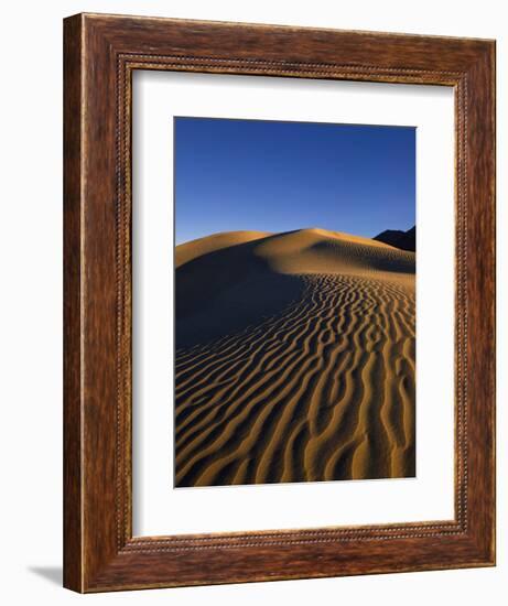 Sand Dunes in Death Valley-Bill Ross-Framed Photographic Print