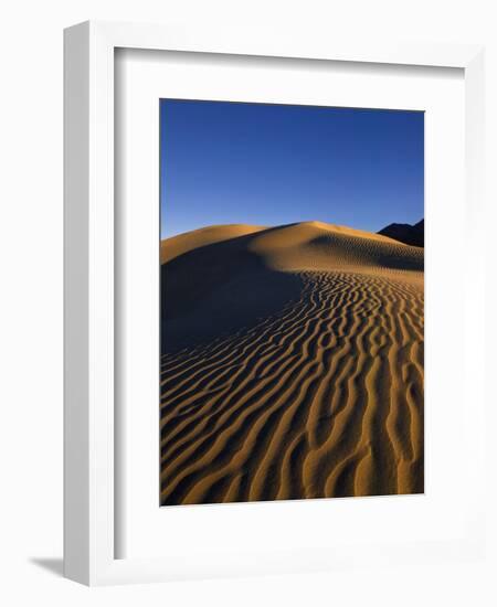 Sand Dunes in Death Valley-Bill Ross-Framed Photographic Print