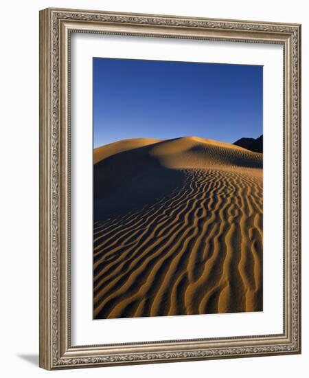 Sand Dunes in Death Valley-Bill Ross-Framed Photographic Print