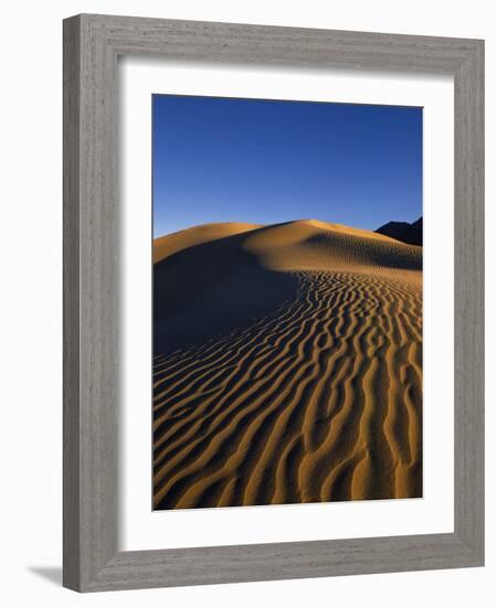 Sand Dunes in Death Valley-Bill Ross-Framed Photographic Print