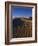 Sand Dunes in Death Valley-Bill Ross-Framed Photographic Print