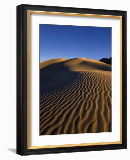 Sand Dunes in Death Valley-Bill Ross-Framed Photographic Print