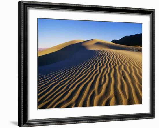 Sand Dunes in Death Valley-Bill Ross-Framed Photographic Print