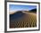 Sand Dunes in Death Valley-Bill Ross-Framed Photographic Print