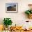 Sand Dunes in Death Valley-Bill Ross-Framed Photographic Print displayed on a wall