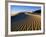 Sand Dunes in Death Valley-Bill Ross-Framed Photographic Print