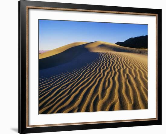 Sand Dunes in Death Valley-Bill Ross-Framed Photographic Print