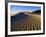 Sand Dunes in Death Valley-Bill Ross-Framed Photographic Print