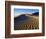 Sand Dunes in Death Valley-Bill Ross-Framed Photographic Print