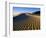 Sand Dunes in Death Valley-Bill Ross-Framed Photographic Print