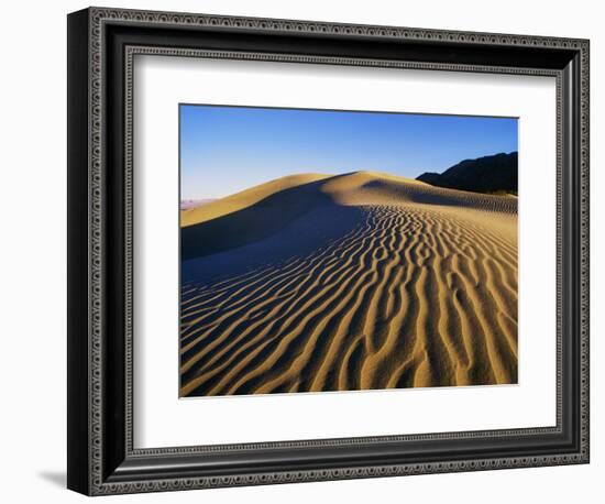 Sand Dunes in Death Valley-Bill Ross-Framed Photographic Print