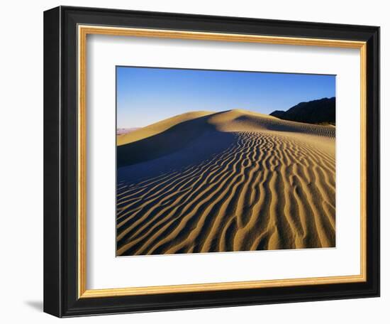 Sand Dunes in Death Valley-Bill Ross-Framed Photographic Print