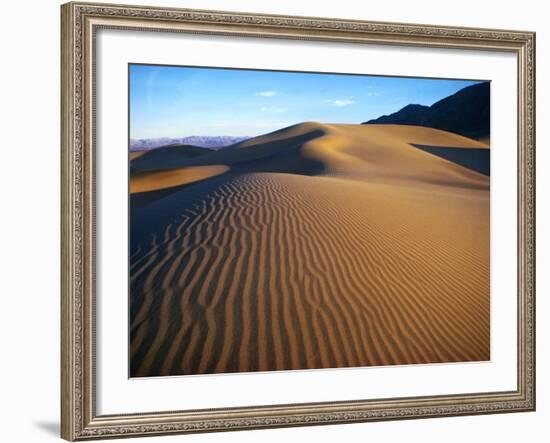 Sand Dunes in Death Valley-Bill Ross-Framed Photographic Print