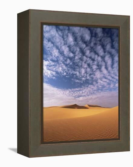 Sand Dunes in Erg Chebbi Sand Sea, Sahara Desert, Near Merzouga, Morocco, North Africa, Africa-Lee Frost-Framed Premier Image Canvas