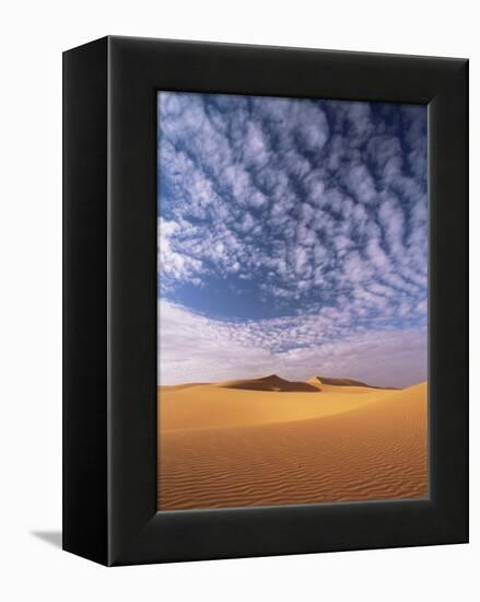 Sand Dunes in Erg Chebbi Sand Sea, Sahara Desert, Near Merzouga, Morocco, North Africa, Africa-Lee Frost-Framed Premier Image Canvas