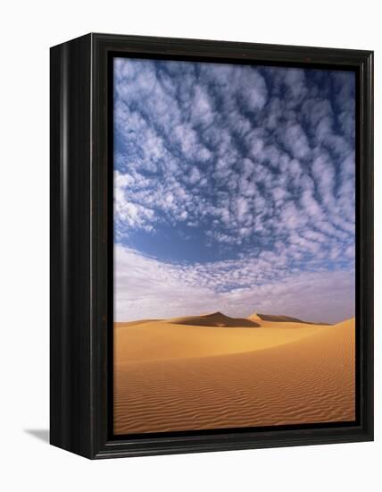 Sand Dunes in Erg Chebbi Sand Sea, Sahara Desert, Near Merzouga, Morocco, North Africa, Africa-Lee Frost-Framed Premier Image Canvas