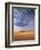 Sand Dunes in Erg Chebbi Sand Sea, Sahara Desert, Near Merzouga, Morocco, North Africa, Africa-Lee Frost-Framed Photographic Print