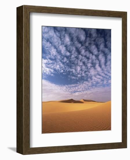 Sand Dunes in Erg Chebbi Sand Sea, Sahara Desert, Near Merzouga, Morocco, North Africa, Africa-Lee Frost-Framed Photographic Print