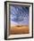 Sand Dunes in Erg Chebbi Sand Sea, Sahara Desert, Near Merzouga, Morocco, North Africa, Africa-Lee Frost-Framed Photographic Print