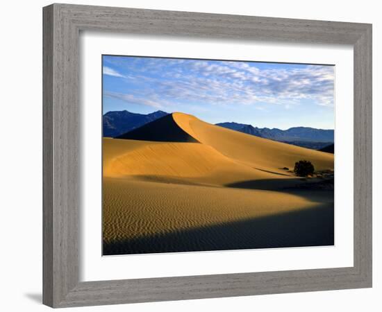 Sand Dunes in Mesquite Flat, Death Valley National Park, California, USA-Bernard Friel-Framed Photographic Print