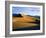 Sand Dunes in Mesquite Flat, Death Valley National Park, California, USA-Bernard Friel-Framed Photographic Print