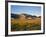 Sand Dunes in Mesquite Flat, Death Valley National Park, California, USA-Bernard Friel-Framed Photographic Print