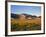 Sand Dunes in Mesquite Flat, Death Valley National Park, California, USA-Bernard Friel-Framed Photographic Print