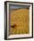 Sand Dunes in Morning Light, Mesquite Flats, Death Valley National Park, California, USA-Darrell Gulin-Framed Photographic Print