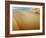 Sand Dunes in the Desert-Steven Boone-Framed Photographic Print