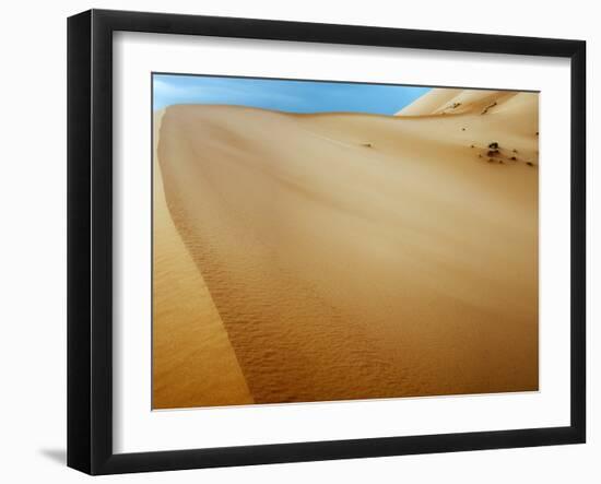 Sand Dunes in the Desert-Steven Boone-Framed Photographic Print