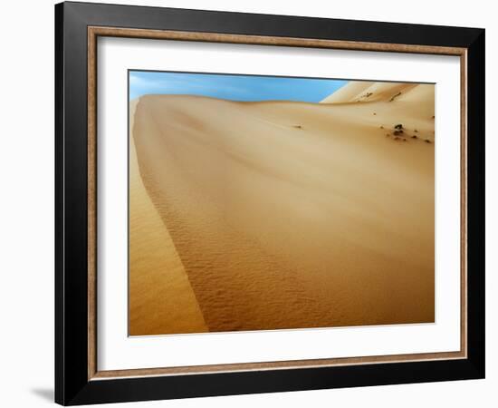 Sand Dunes in the Desert-Steven Boone-Framed Photographic Print