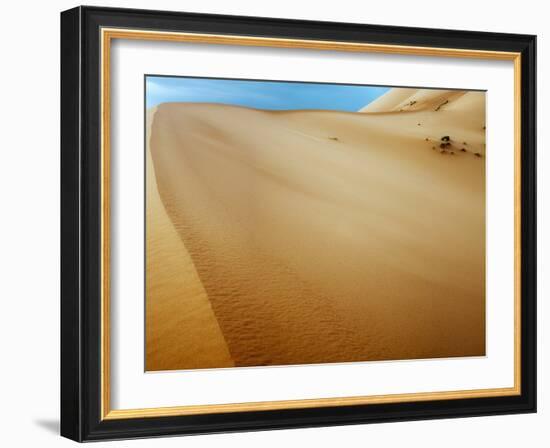 Sand Dunes in the Desert-Steven Boone-Framed Photographic Print