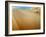 Sand Dunes in the Desert-Steven Boone-Framed Photographic Print