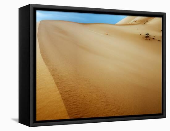 Sand Dunes in the Desert-Steven Boone-Framed Premier Image Canvas