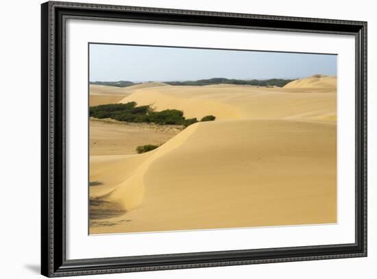 Sand Dunes, Medanos de Coro NP, Near Coro, Falcon State, Venezuela-Keren Su-Framed Photographic Print