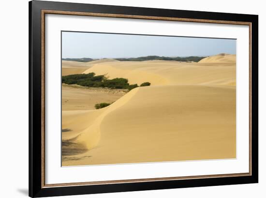 Sand Dunes, Medanos de Coro NP, Near Coro, Falcon State, Venezuela-Keren Su-Framed Photographic Print