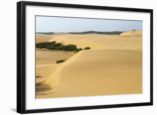 Sand Dunes, Medanos de Coro NP, Near Coro, Falcon State, Venezuela-Keren Su-Framed Photographic Print