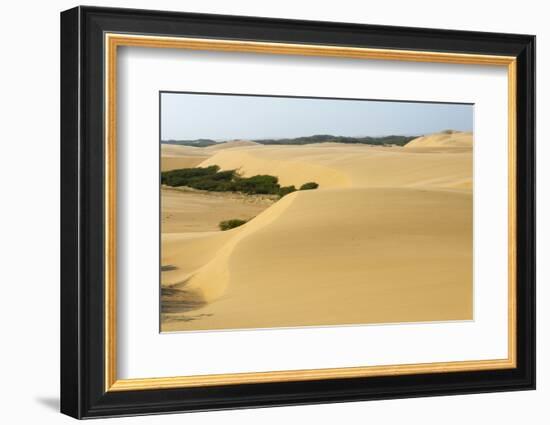 Sand Dunes, Medanos de Coro NP, Near Coro, Falcon State, Venezuela-Keren Su-Framed Photographic Print