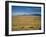 Sand Dunes of Great Sand Dunes National Park and Preserve in the Sangre De Cristo Mountains, CO-Bernard Friel-Framed Photographic Print