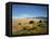 Sand Dunes of Great Sand Dunes National Park and Preserve in the Sangre De Cristo Mountains, CO-Bernard Friel-Framed Premier Image Canvas