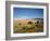 Sand Dunes of Great Sand Dunes National Park and Preserve in the Sangre De Cristo Mountains, CO-Bernard Friel-Framed Photographic Print