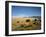 Sand Dunes of Great Sand Dunes National Park and Preserve in the Sangre De Cristo Mountains, CO-Bernard Friel-Framed Photographic Print