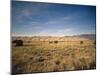 Sand Dunes of Great Sand Dunes National Park and Preserve in the Sangre De Cristo Mountains, CO-Bernard Friel-Mounted Photographic Print