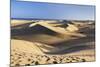 Sand Dunes of Maspalomas, Maspalomas, Gran Canaria, Canary Islands, Spain, Atlantic, Europe-Markus Lange-Mounted Photographic Print