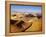 Sand Dunes of Namib-Naukluft Park-Michele Westmorland-Framed Premier Image Canvas