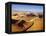 Sand Dunes of Namib-Naukluft Park-Michele Westmorland-Framed Premier Image Canvas