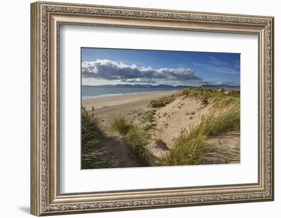 Sand dunes on Rossbeigh beach, Ring of Kerry, County Kerry, Munster, Republic of Ireland, Europe-Nigel Hicks-Framed Photographic Print