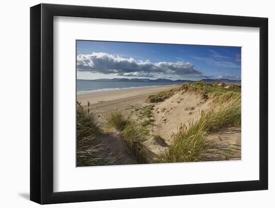 Sand dunes on Rossbeigh beach, Ring of Kerry, County Kerry, Munster, Republic of Ireland, Europe-Nigel Hicks-Framed Photographic Print