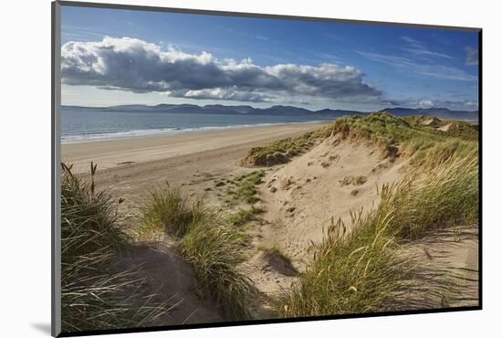 Sand dunes on Rossbeigh beach, Ring of Kerry, County Kerry, Munster, Republic of Ireland, Europe-Nigel Hicks-Mounted Photographic Print