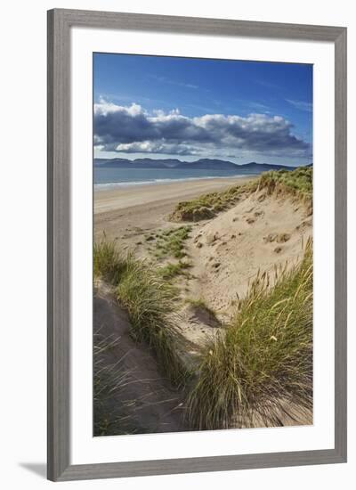 Sand dunes on Rossbeigh beach, Ring of Kerry, County Kerry, Munster, Republic of Ireland, Europe-Nigel Hicks-Framed Photographic Print